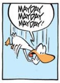 Duck falling from sky yelling Mayday!