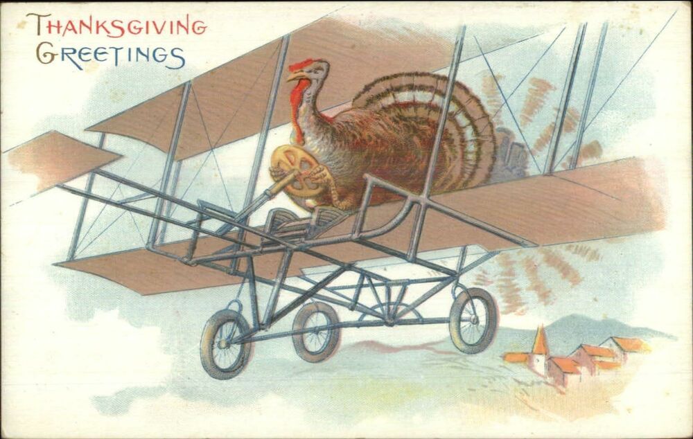 Turkey flying a Biplane