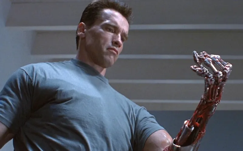 Terminator 2 looking at arm