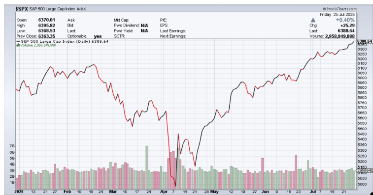 SP500 Large Cap July 2025